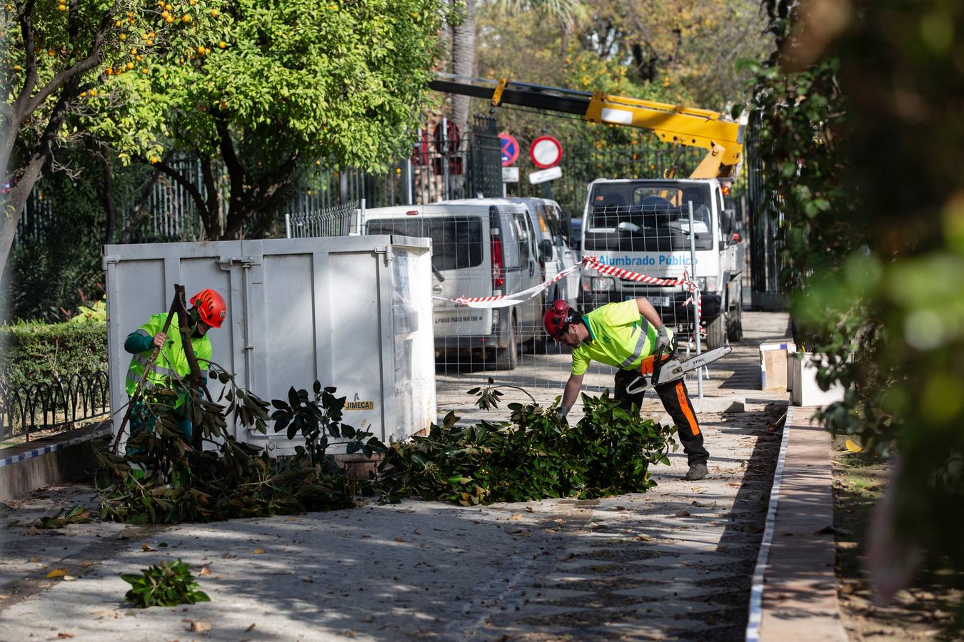 Arrancan los trabajos para recuperar los Jardines de Murillo de Sevilla